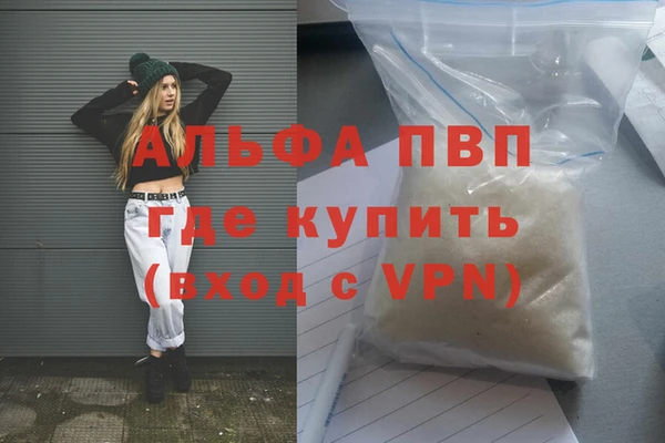 дурь Бородино