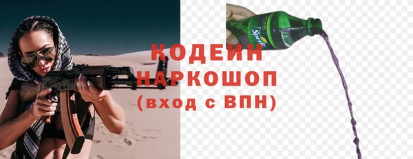 дурь Бородино