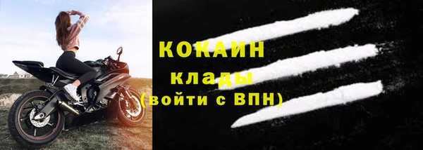дурь Бородино