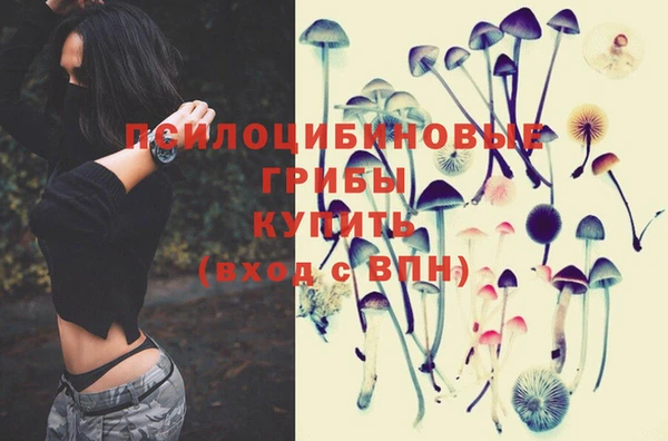 дурь Бородино