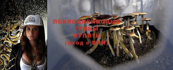 дурь Бородино
