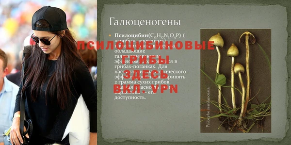 дурь Бородино