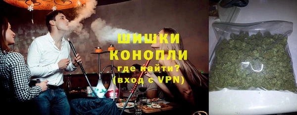 дурь Бородино