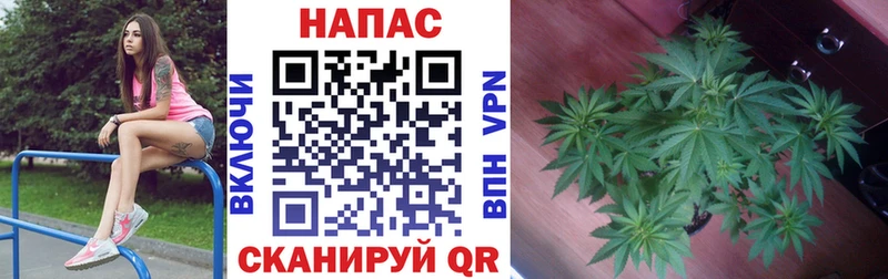 Каннабис VHQ  цена   Армавир 